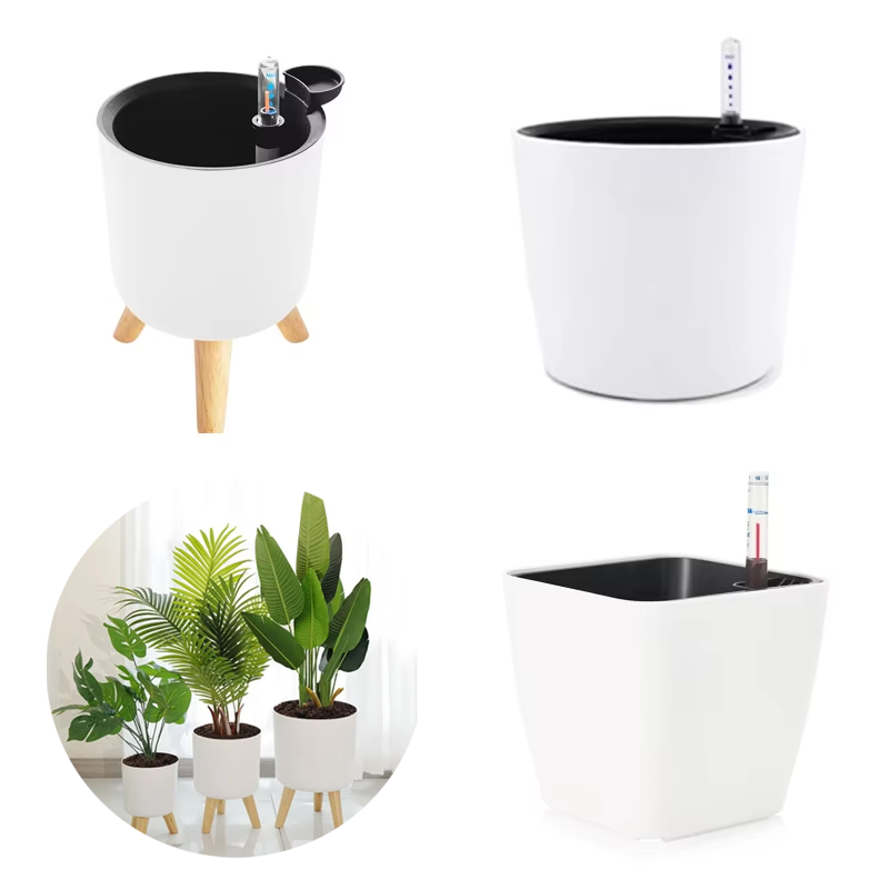 1PC 실내 플라스틱 화분 자체 급수 식물 화분 수위  - Aloe Vera Pot 리뷰 및 가격